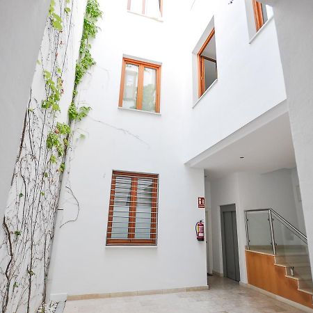 Apartament Renthas Vid Loft Malaga Zewnętrze zdjęcie